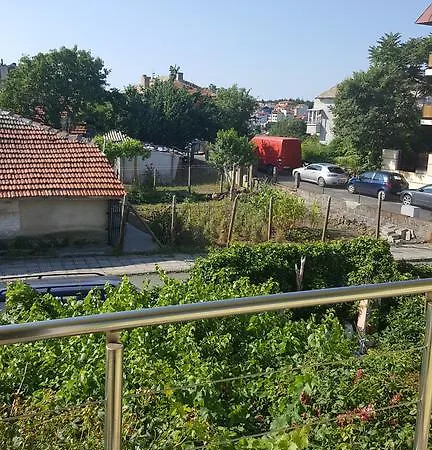 жълтата къща